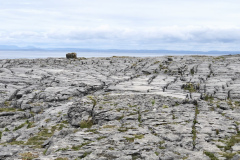 Burren Geopark