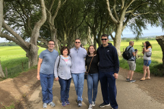 Dark Hedges