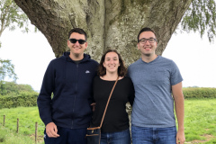 Dark Hedges