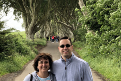 Dark Hedges