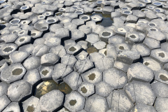 Giant’s Causeway