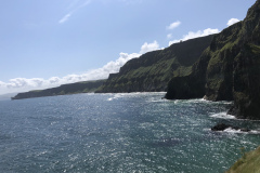 Landscape Near Carrick a Rede Rope Bridge