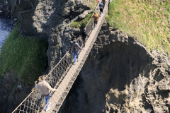 Carrick a Rede Rope Bridge