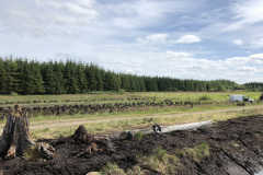 Stacks of Cut Turf Drying Out