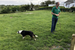 Martin with his Borger Collie Anxious to Work