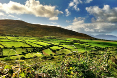 Kingdom of Kerry Rolling Fields