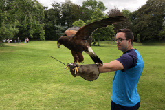 Dromoland Castle Hawk Walk