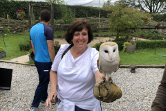 Dromoland Castle Owl