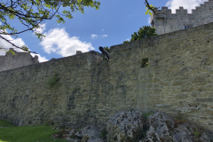 Ross Castle