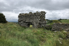 Dunamase Castle