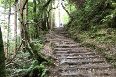 Hike to the Top of Torc Waterfall